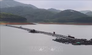 Nuôi trồng thủy sản là một trong hai đối tượng tiềm năng của tỉnh Yên Bái chi trả tiền dịch vụ môi trường rừng trong thời gian tới. Ảnh: Tiến Khánh - TTXVN 