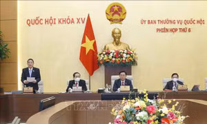 Phó Chủ tịch Quốc hội Nguyễn Đức Hải phát biểu. Ảnh: Doãn Tấn - TTXVN 