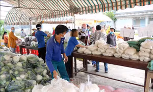 “Phiên chợ 0 đồng” với đa dạng nhu yếu phẩm phục vụ người dân ở Bình Thuận. Ảnh: Nguyễn Thanh - TTXVN 