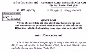 Thủ tướng Chính phủ phê duyệt tổng biên chế công chức năm 2021