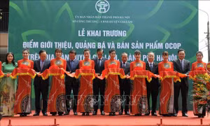 Cắt băng khai mạc điểm giới thiệu và quảng bá sản phẩm OCOP. Ảnh: Phương Anh-TTXVN