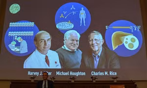Chân dung các nhà khoa học đoạt giải Nobel Y học 2020 trong cuộc họp báo công bố về giải thưởng ở Viện Karolinska, thủ đô Stockholm (Thụy Điển). Ảnh: AFP/TTXVN