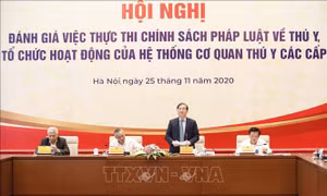 Chủ nhiệm Ủy ban hoa học Công nghệ và Môi trường của Quốc hội Phan Xuân Dũng chủ trì hội nghị. Ảnh: Dương Giang - TTXVN