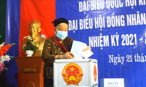 Cử tri xã miền núi, biên giới Mai Sơn, huyện Tương Dương, Nghệ An bỏ phiếu bầu đại biểu Quốc hội khóa XV và HĐND các cấp nhiệm kỳ 2021 – 2026. Ảnh: Tá Chuyên – TTXVN
