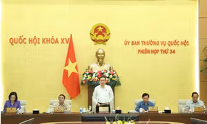 Khai mạc Phiên họp thứ 34 Ủy ban Thường vụ Quốc hội