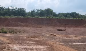 Xuyên đêm khai thác đất trái phép ở Đồng Phú, Bình Phước