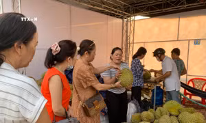 Khai mạc Lễ hội mùa trái chín “Lái Thiêu mùa hẹn”