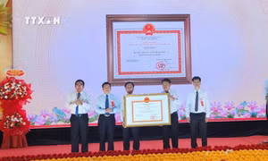 Phó Thủ tướng Hồ Đức Phớc dự lễ công bố huyện Tây Sơn (Bình Định) đạt chuẩn nông thôn mới