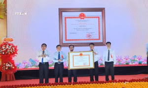 Phó Thủ tướng Hồ Đức Phớc dự lễ công bố huyện Tây Sơn (Bình Định) đạt chuẩn nông thôn mới