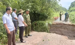 Mưa lớn gây sạt lở đường tuần tra biên giới ở huyện Tân Châu, tỉnh Tây Ninh