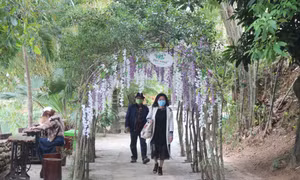 Quảng Nam khai thác tiềm năng, phục hồi du lịch sau đại dịch