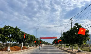 Hiệu quả Chương trình mục tiêu quốc gia giảm nghèo ở huyện đảo Lý Sơn (Quảng Ngãi)