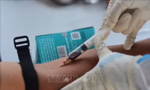 Tại Đà Nẵng, việc lấy mẫu xét nghiệm cho người nước ngoài được thực hiện bằng phương pháp là huyết thanh học (ELISA). Ảnh: Văn Dũng - TTXVN