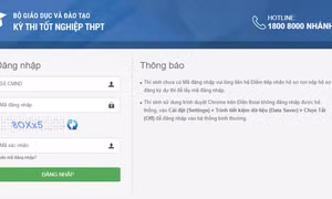 Ảnh chụp màn hình địa chỉ truy cập trang http://thisinh.thithptquocgia.edu.vn để tra cứu điểm thi. Ảnh: dantocmiennui.vn