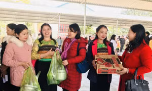 Ban Tổ chức đã bố trí 8 gian hàng miễn phí với các mặt hàng là lương thực, thực phẩm, nhu yếu phẩm, thuốc bổ, đồ gia dụng, quần áo…Ảnh : baothanhhoa.vn