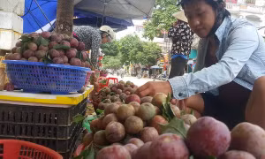 Sạp bán mận Tam Hoa. Ảnh: Hương Thu - TTXVN