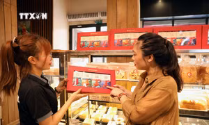 Giới thiệu chất lượng sản phẩm, minh bạch thông tin, mã hóa, dán tem QR Code truy xuất nguồn gốc các sản phẩm OCOP cho khách hàng. Ảnh: Đại Nghĩa - TTXVN