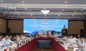 Quang cảnh hội nghị. Ảnh: Mai Trang - TTXVN