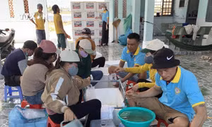 Đóng tôm chuyển về các cơ sở nuôi tôm ở miền Tây tại Cơ sở sản xuất tôm giống ở Nhơn Hải (Ninh Hải, Ninh Thuận). Ảnh: TTXVN phát