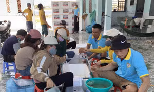 Đóng tôm chuyển về các cơ sở nuôi tôm ở miền Tây tại Cơ sở sản xuất tôm giống ở Nhơn Hải (Ninh Hải, Ninh Thuận). Ảnh: TTXVN phát