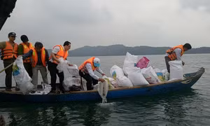 Quảng Nam thả cá bổ sung giống tái tạo nguồn lợi thuỷ sản tại hồ Phú Ninh. Ảnh : snnptnt.quangnam.gov.vn