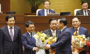 Kỳ họp thứ 11, Quốc hội khóa XIV, 12 bộ trưởng, trưởng ngành, Quốc hội phê chuẩn, bổ nhiệm. Ảnh: Doãn Tấn - TTXVN
