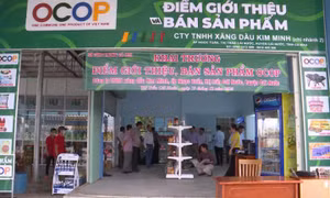 Sở Công thương tỉnh Cà Mau phối hợp với huyện Cái Nước, khai trương điểm giới thiệu bán sản phẩm OCOP tại thị trấn Cái Nước. Ảnh :ctvcamau.vn