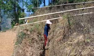 Khoảng 1.100 ha sản xuất nông nghiệp ở miền núi phía Bắc có nguy cơ bị hạn