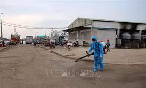 Phun thuốc tiêu độc khử trùng. Ảnh: Hồ Cầu-TTXVN