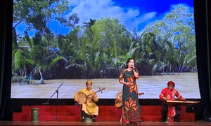 Long An: Giữ gìn và phát huy Di sản văn hóa dân tộc Đờn ca tài tử