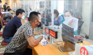 Đối tượng người lao động đề nghị hưởng trợ cấp thất nghiệp chiếm tỷ lệ cao nhất từ 25 - 40 tuổi, trong đó, số người lao động bị mất việc do dịch chiếm hơn 60%. Ảnh: Khiếu Tư - TTXVN 