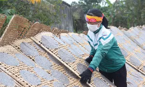 Sản phẩm bánh đa vừng của Hợp tác xã sản xuất và thương mại Nguyên Lâm được xuất khẩu sang thị trường Nhật Bản. Ảnh: Hoàng Ngà - TTXVN 