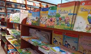 Mới đưa vào nhà trường được một tháng, sách giáo khoa lớp 1 mới đã liên tục khiến phụ huynh "dậy sóng". Ảnh: Phạm Mai/Vietnam+