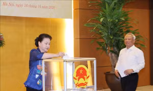Chủ tịch Quốc hội Nguyễn Thị Kim Ngân và các Phó Chủ tịch Quốc hội tham gia ủng hộ. Ảnh: Trọng Đức - TTXVN