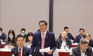 Chủ tịch Thành phố Hải Phòng Nguyễn Văn Tùng phát biểu tại phiên họp Thường trực Chính phủ với Ban chỉ đạo quốc gia phòng chống dịch COVID - 19 chiều 29/1. Ảnh: Thống Nhất -TTXVN