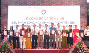 Tôn vinh và trao chứng nhận cho 100 sản phẩm công nghiệp nông thôn tiêu biểu khu vực miền Trung- Tây Nguyên tại triển lãm. Ảnh: Đức Thọ- TTXVN