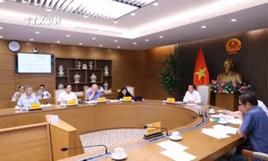 Phó Thủ tướng Trần Hồng Hà: Mở ra hướng mới trong phát triển kinh tế, làm giàu từ đất trồng lúa