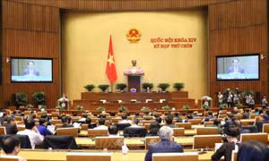 Quốc hội nghe Chủ nhiệm Ủy ban Pháp luật của Quốc hội Hoàng Thanh Tùng trình bày Báo cáo giải trình, tiếp thu, chỉnh lý dự án Luật sửa đổi, bổ sung một số điều của Luật Tổ chức Quốc hội. Ảnh: Văn Điệp - TTXVN