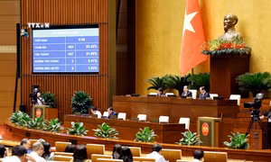 Kỳ họp thứ 7, Quốc hội khóa XV: Quốc hội thông qua Luật Đường bộ