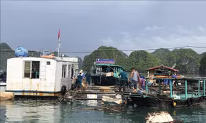 Cắt giảm, đơn giản hóa nhiều thủ tục hành chính lĩnh vực nông nghiệp
