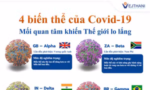 Các biến thể của vi rut COVID-19. Ảnh: vejthani.com 