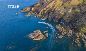 Khai mạc du lịch hè “Quy Nhơn - Thiên đường biển - Tỏa sáng phát triển”