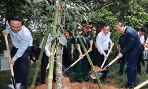 Chủ tịch nước Nguyễn Xuân Phúc và các đại biểu trồng cây tại Khu Di tích K9. Ảnh: Thống Nhất – TTXVN