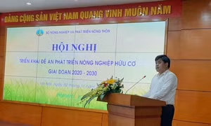 Thứ trưởng Bộ Nông nghiệp và Phát triển nông thôn Trần Thanh Nam phát biểu tại Hội nghị. Ảnh: bnews.vn
