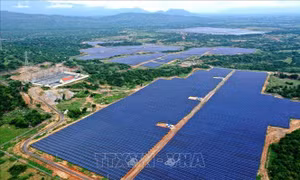 Nhà máy Điện mặt trời Phước Thái 1 vừa được đưa vận hành tháng 10/2020. Ảnh: Ngọc Hà - TTXVN