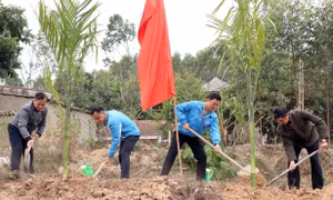 Trao tặng công trình “Rừng cây thanh niên” phủ xanh đất trống, đồi trọc​ ở Bắc Giang