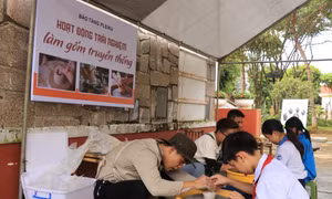 Khám phá di sản qua triển lãm 'Hồn của đất' và 'Nét xanh đại ngàn'