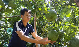 Người dân xã biên giới làm giàu nhờ mô hình kinh tế tổng hợp