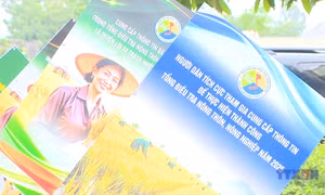 Bức tranh nông nghiệp, nông thôn sau sáp nhập