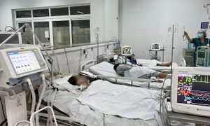 Quảng Nam: Khẩn trương triển khai các phương pháp giải độc cho bệnh nhân ăn cá chép muối ủ chua